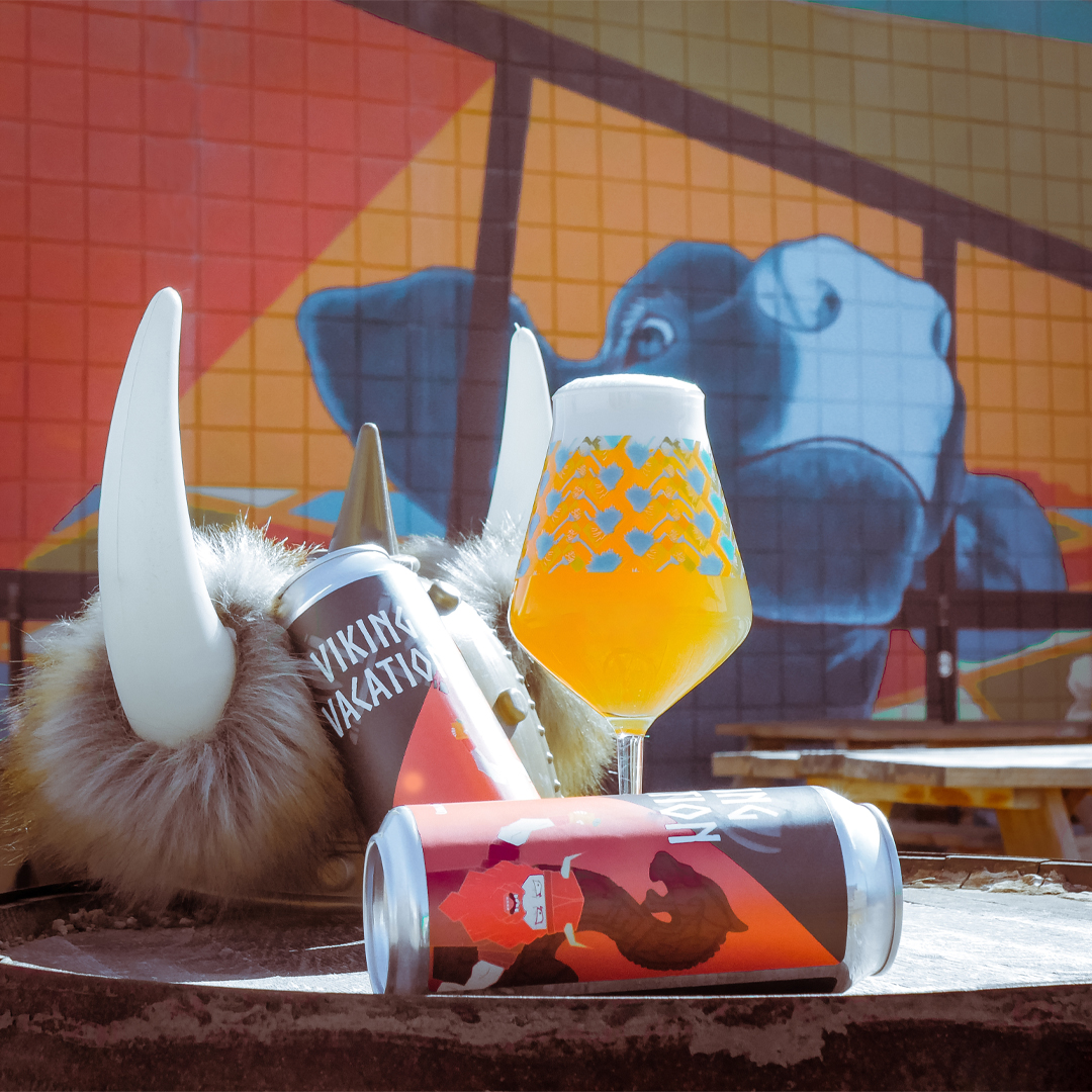 Image or graphic for Viking Vacation