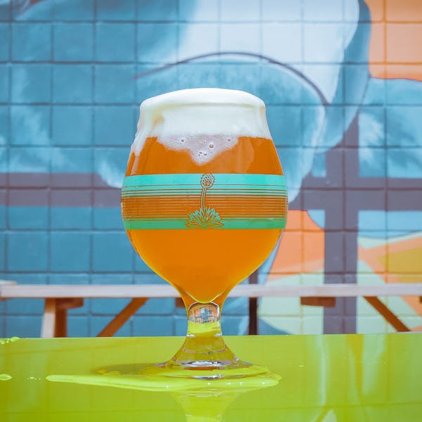 Half Send Pale Ale