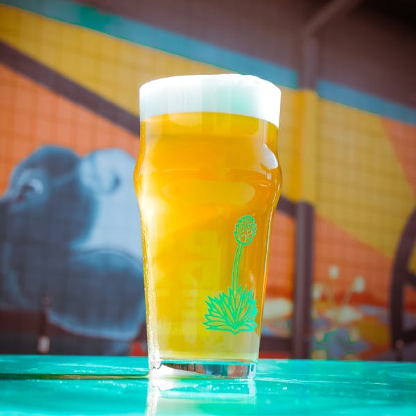 Freewheelin Winter Pils