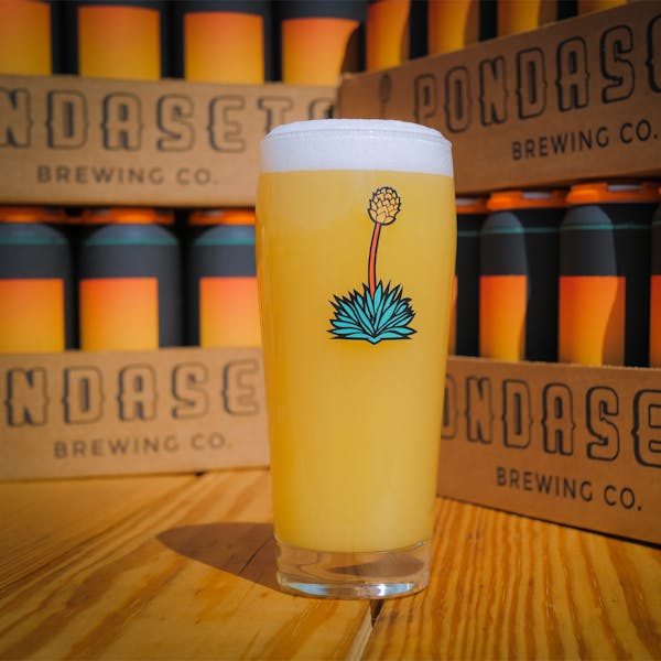 Pyrite IPA v.7