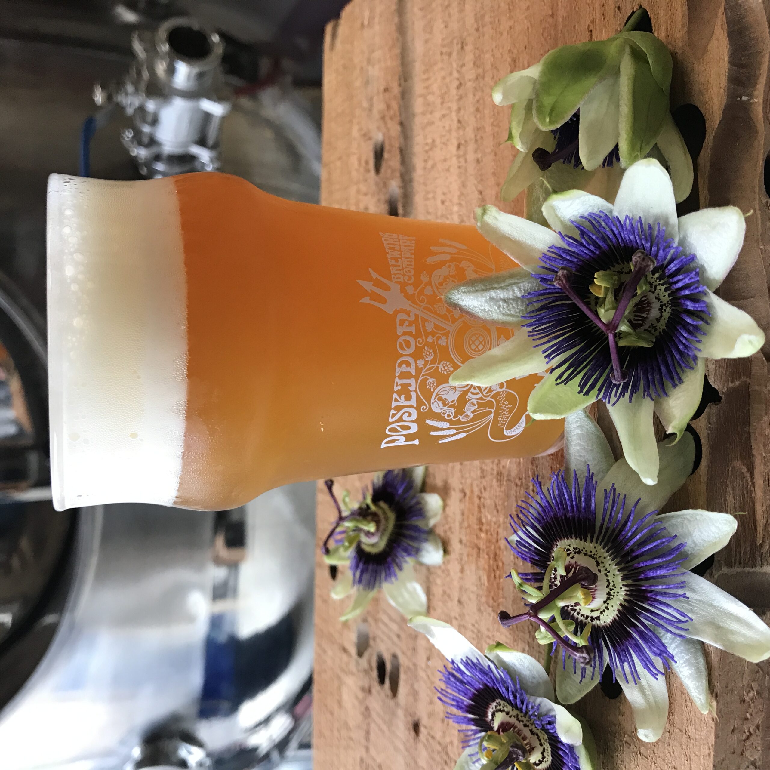 Passion Fruity Pants - IMG_3602(1)