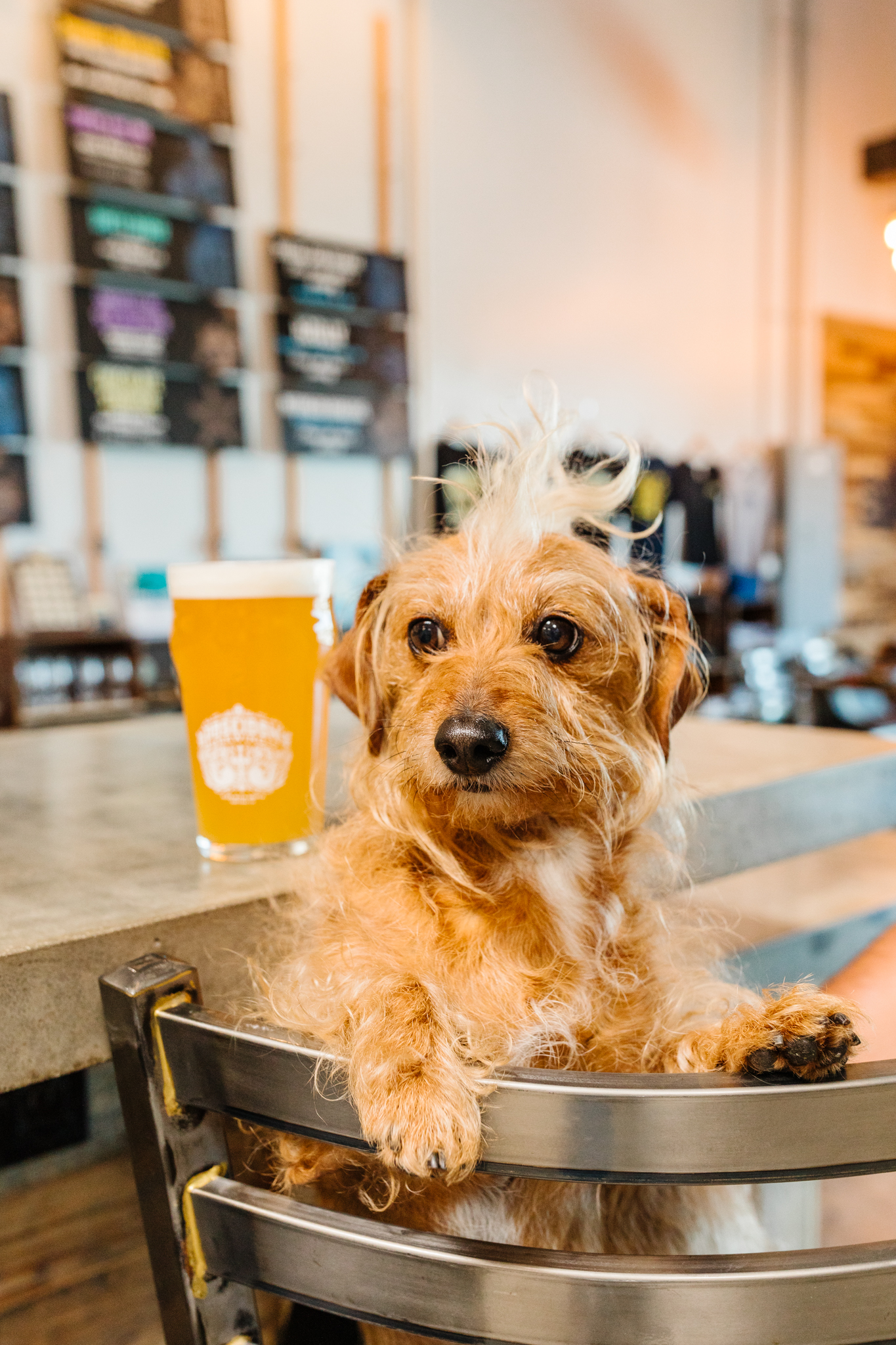 Poseidon-Brewing-April2022-110