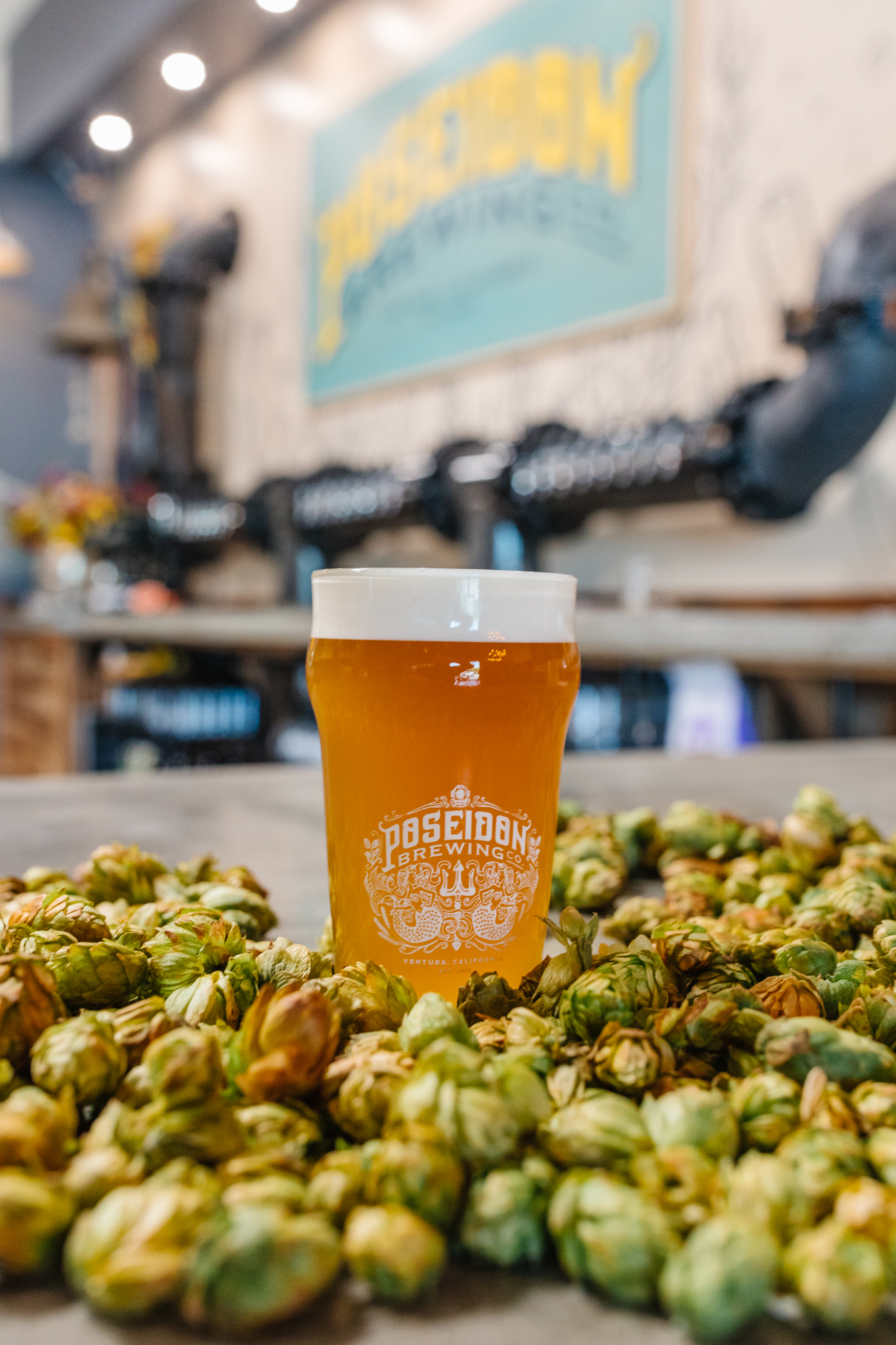 Poseidon-Brewing-Co-Aug-2022-173