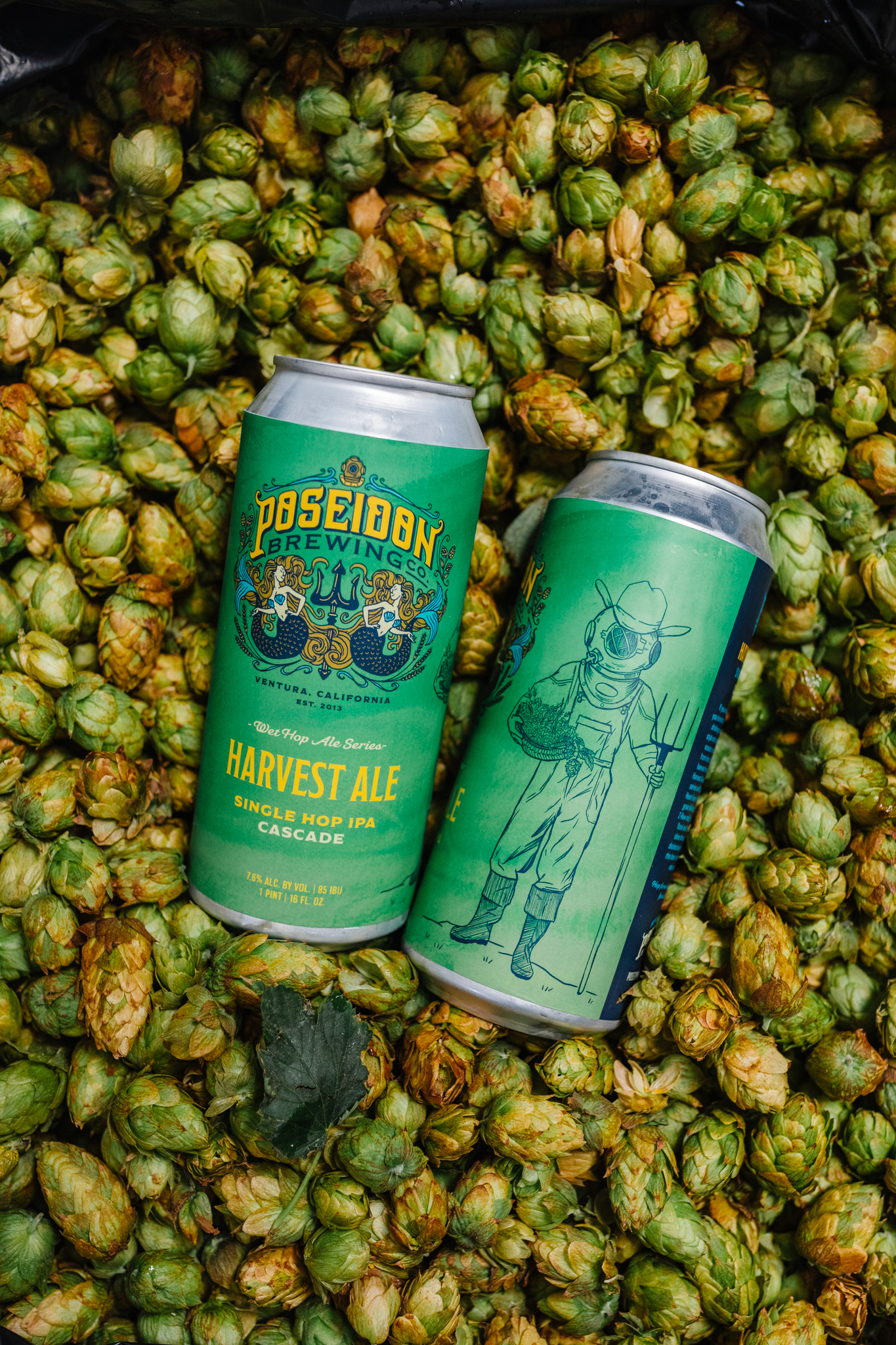 Poseidon-Brewing-Co-Aug-2022-26