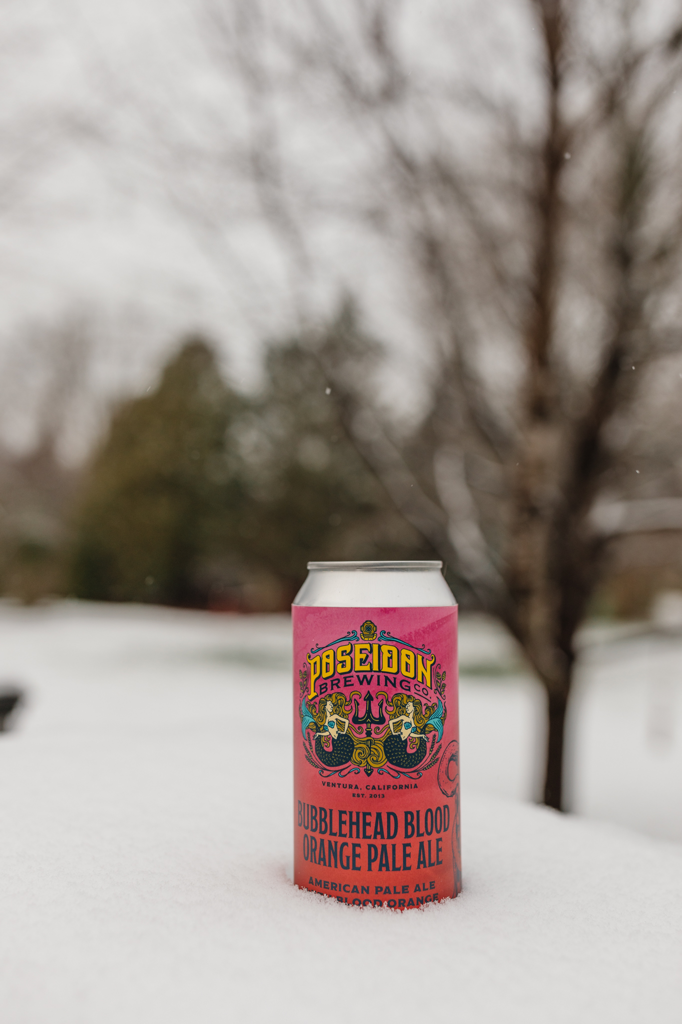 Poseidon-Brewing-Winter-2022-1