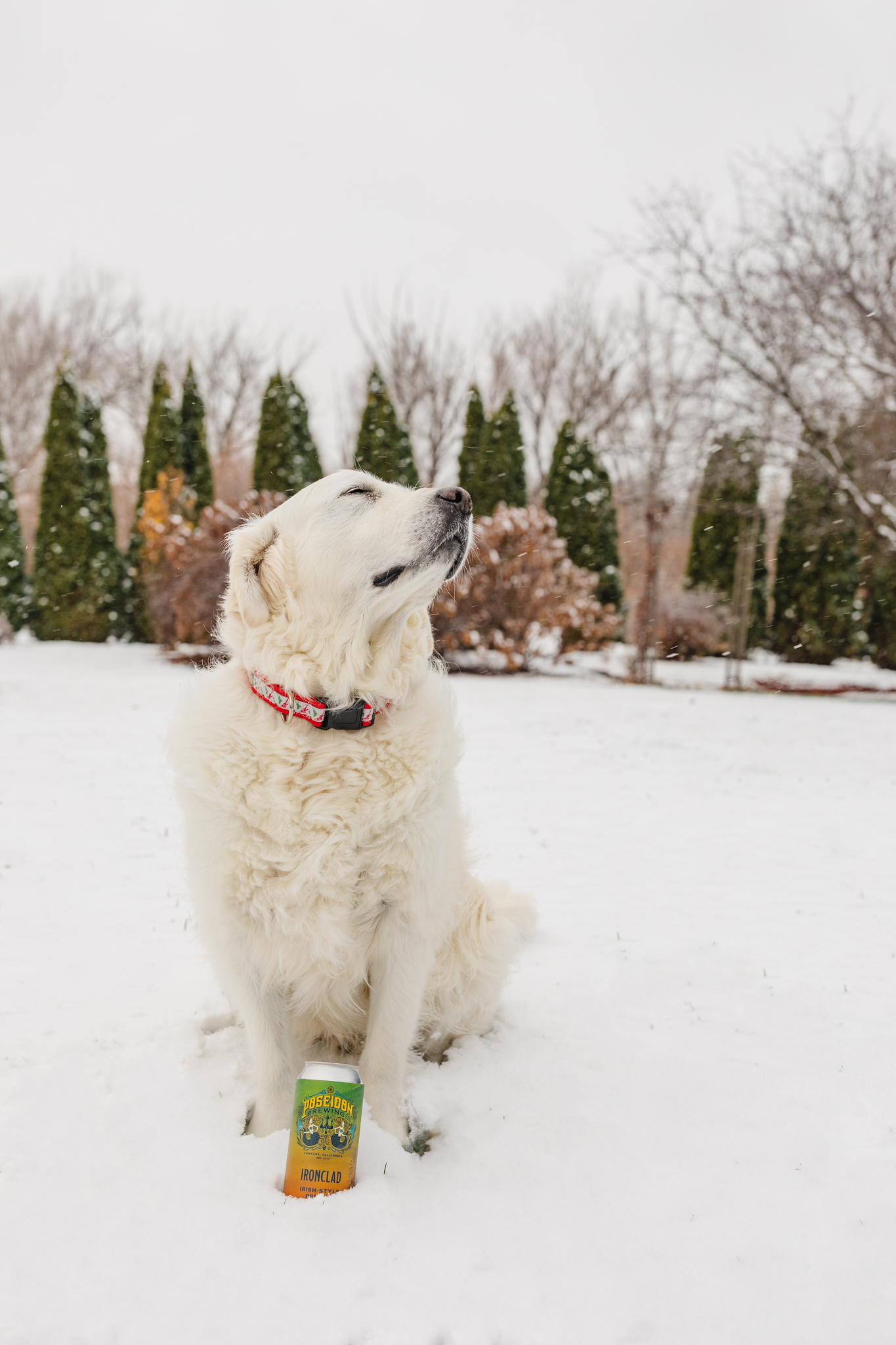 Poseidon-Brewing-Winter-2022-27