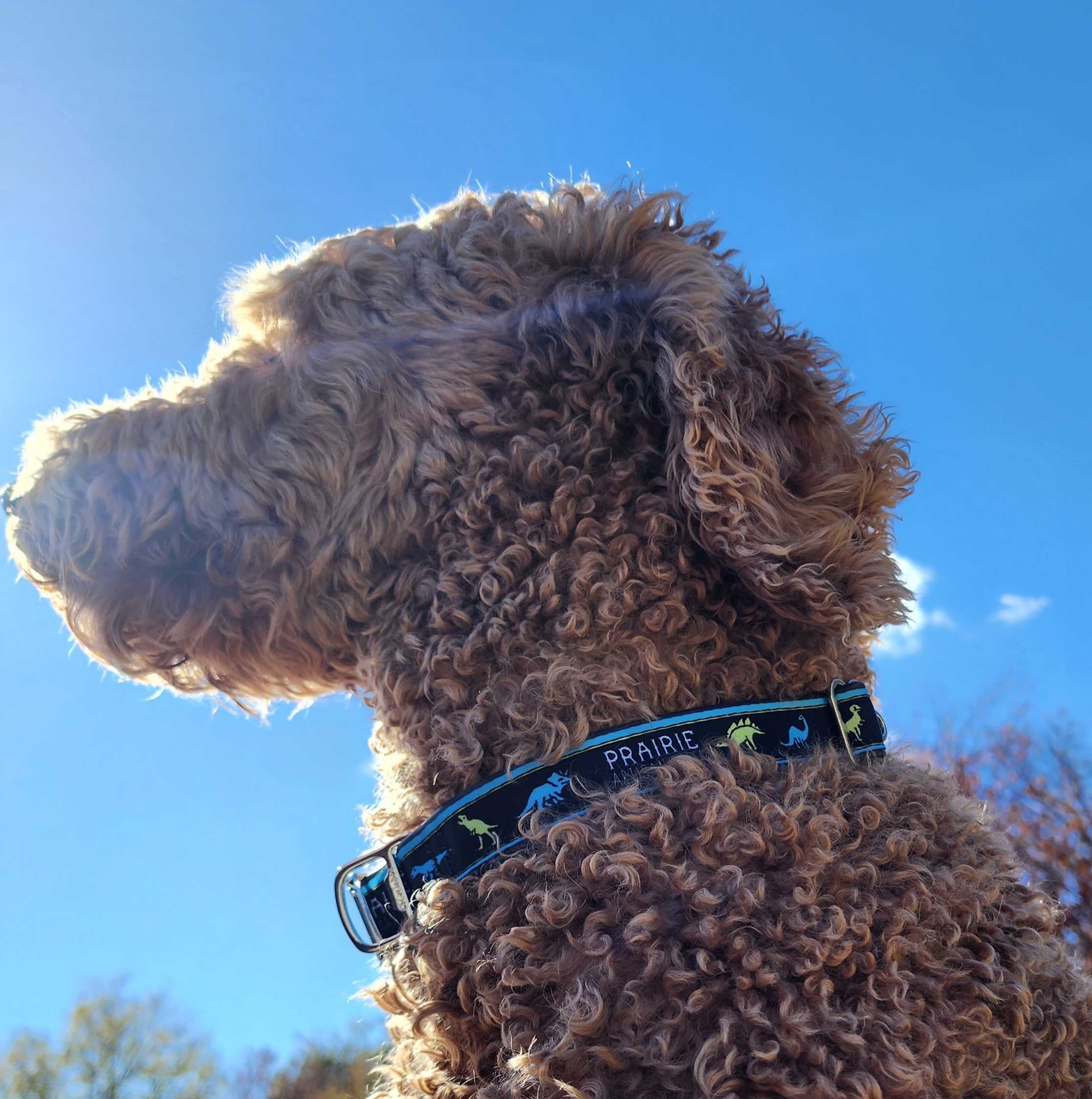 Vol. 23: SOMEONE WAKE UP MARIAH