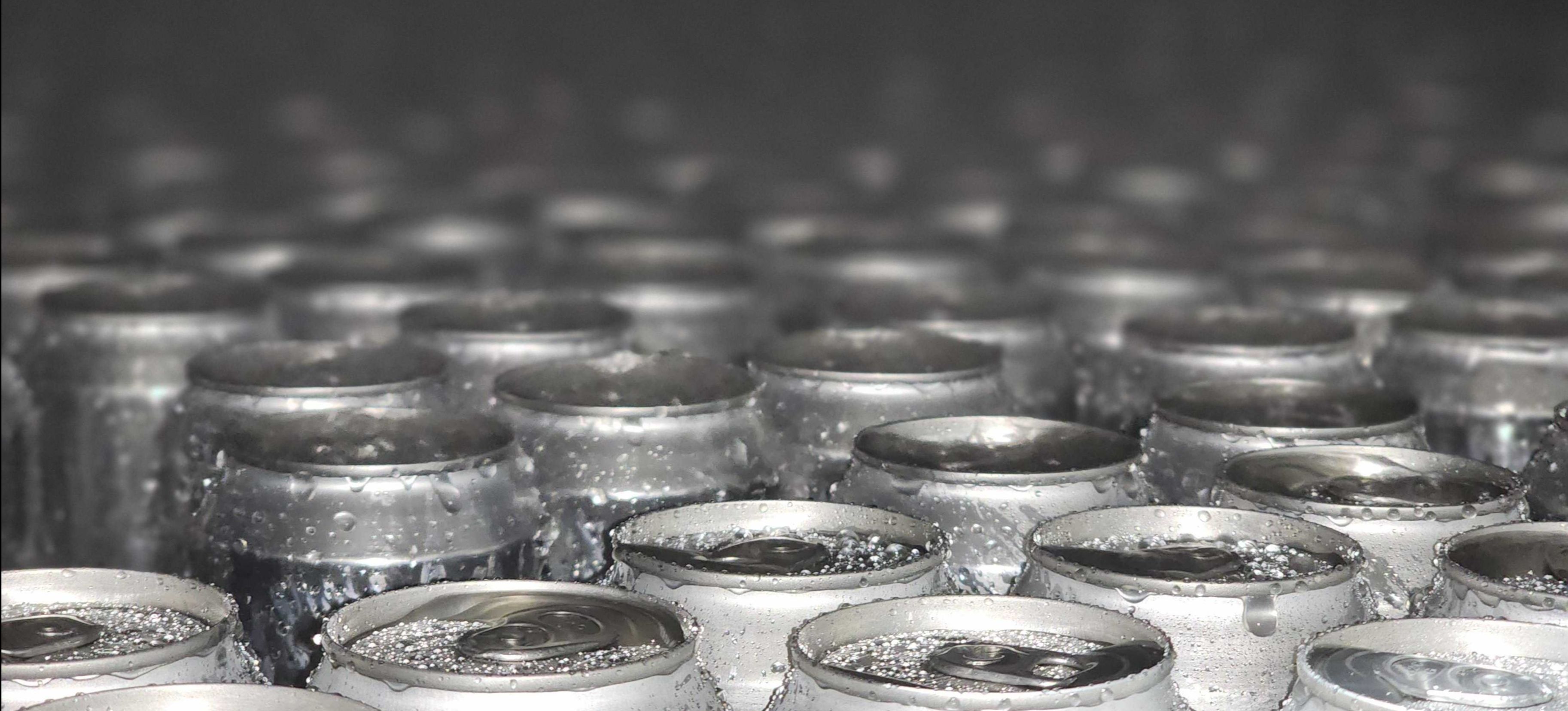 Vol. 31: The rodent says it’s still winter