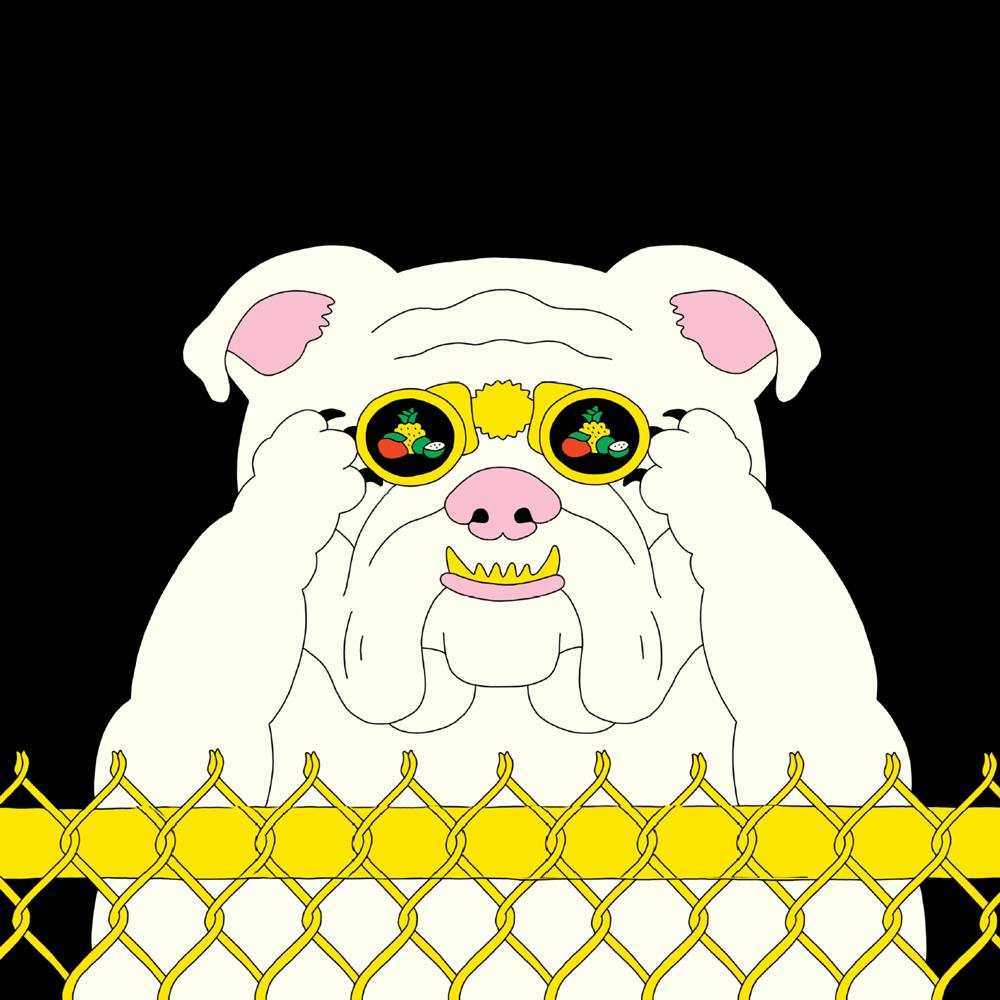 Cartoon of a white bulldog behind a fence putting on sunglasses with fruit reflected in the lenses