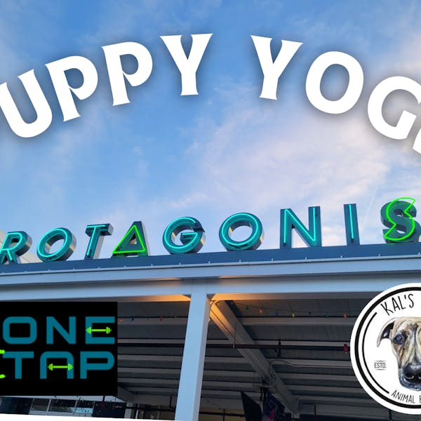 PUPPY YOGA (2) PUPPY YOGA (2)