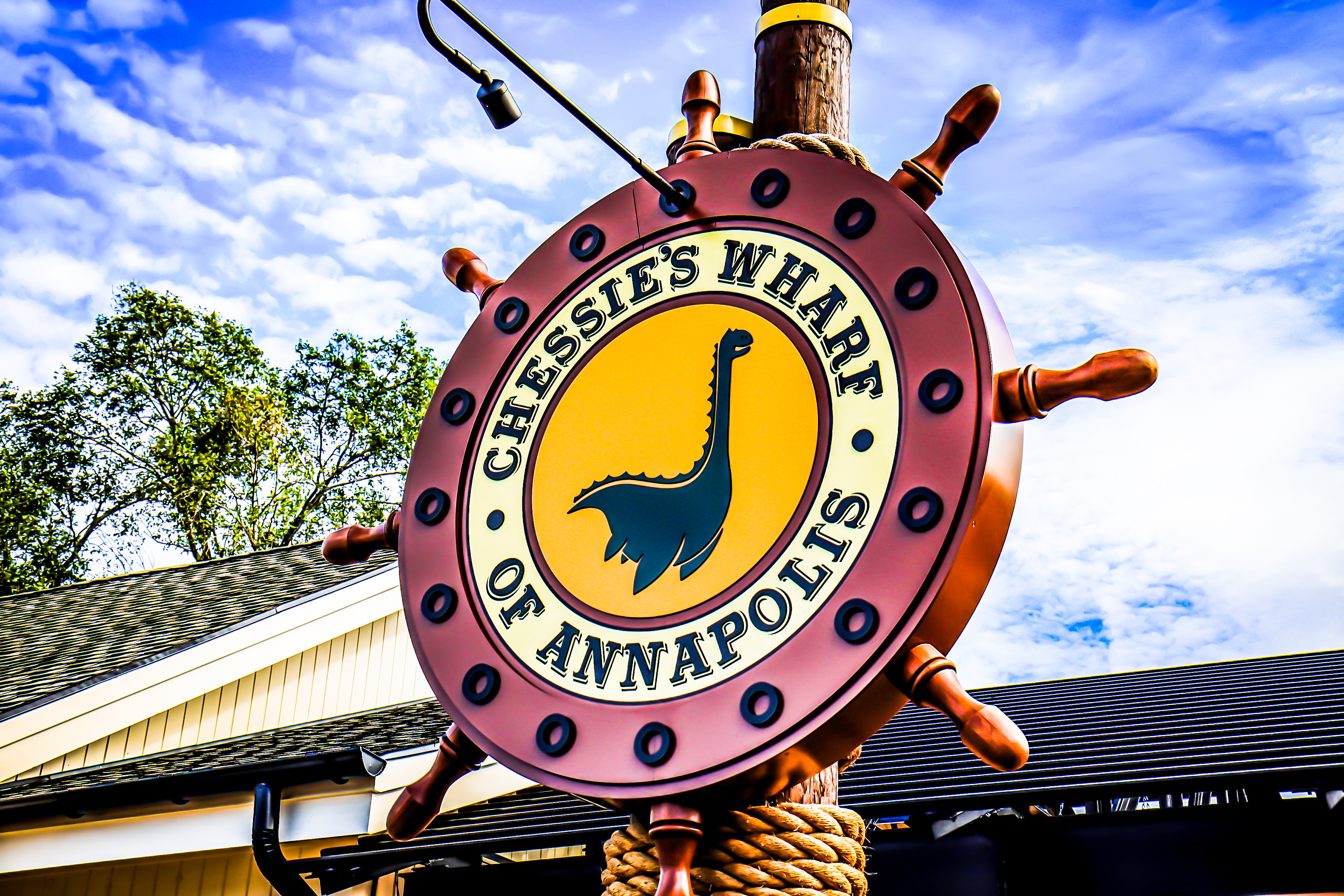 081C284D-41E1-458A-BBC3-88D2183159D4