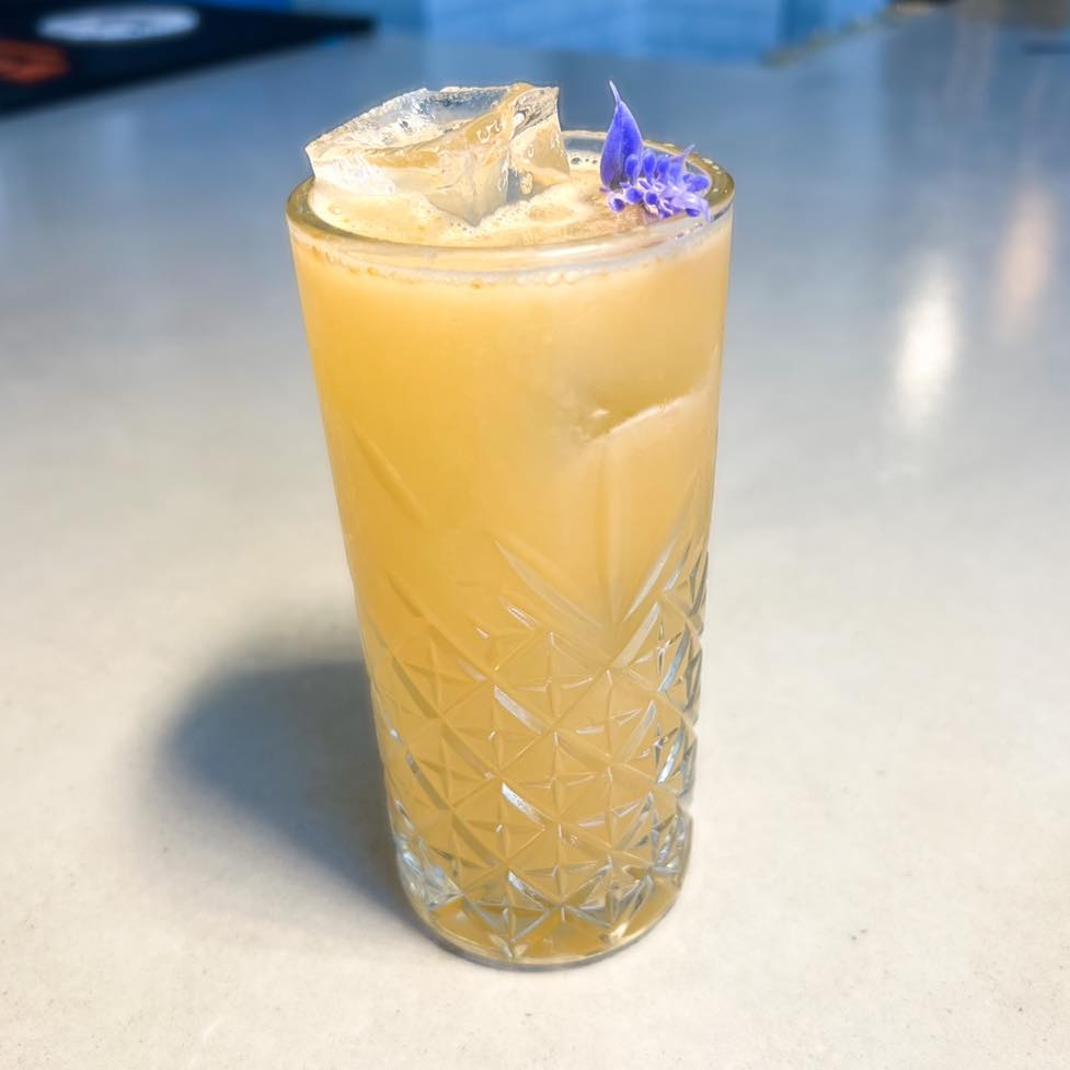 247873673_4605771042814629_6951049677548606170_n