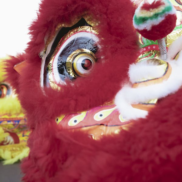 LUNAR NEW YEAR 2025 – PLAZA MIDWOOD