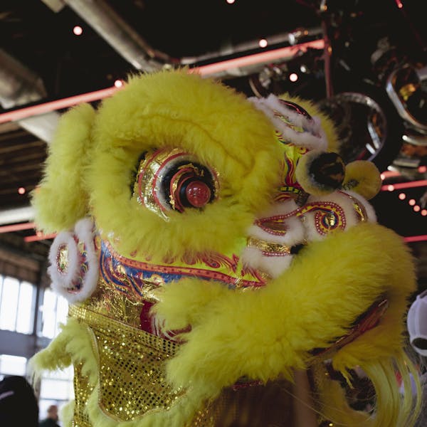LUNAR NEW YEAR 2025 – SOUTH END