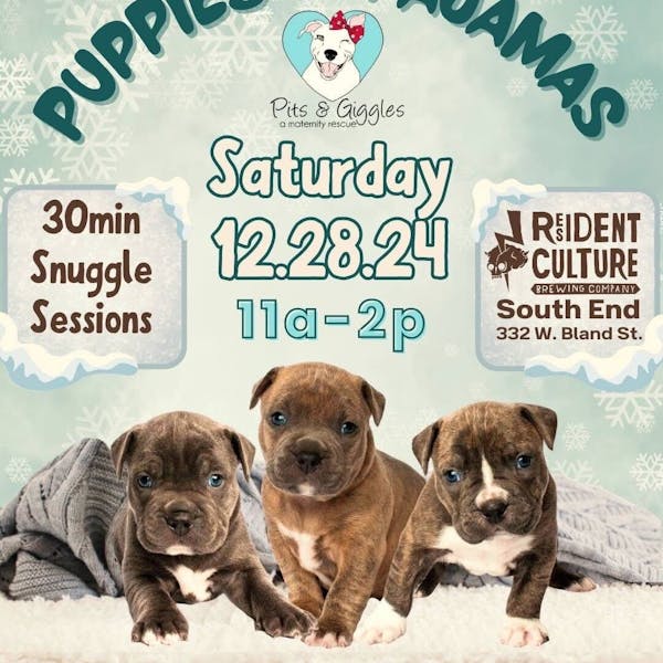 PUPPIES & PAJAMAS