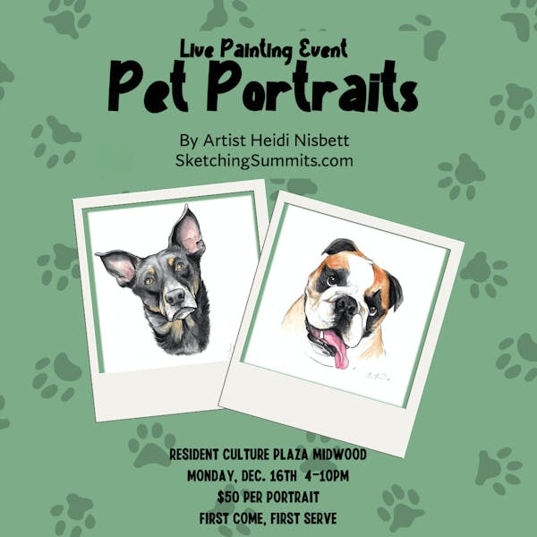 PET PORTRAITS NIGHT