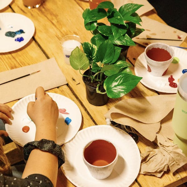 PAINT & PLANT