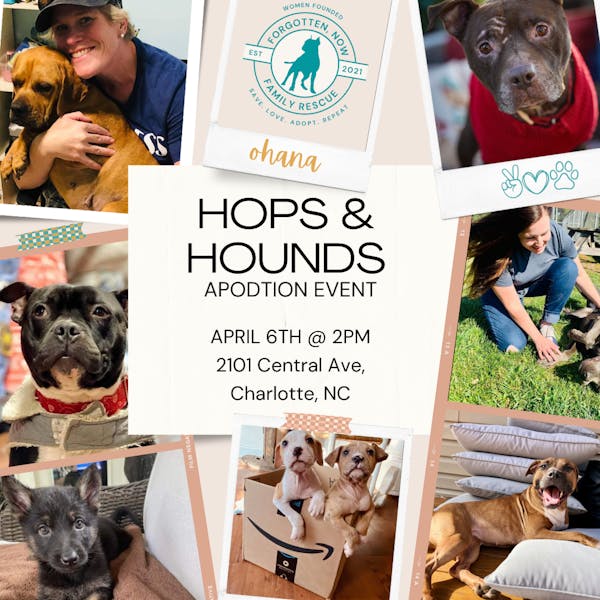 HOPS & HOUNDS ADOPTION EVENT