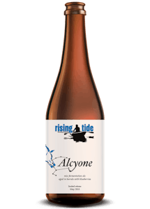 Digital Mockup of a 500ml bottle of Alcyone, barrel-aged ale with wild Maine blueberries.