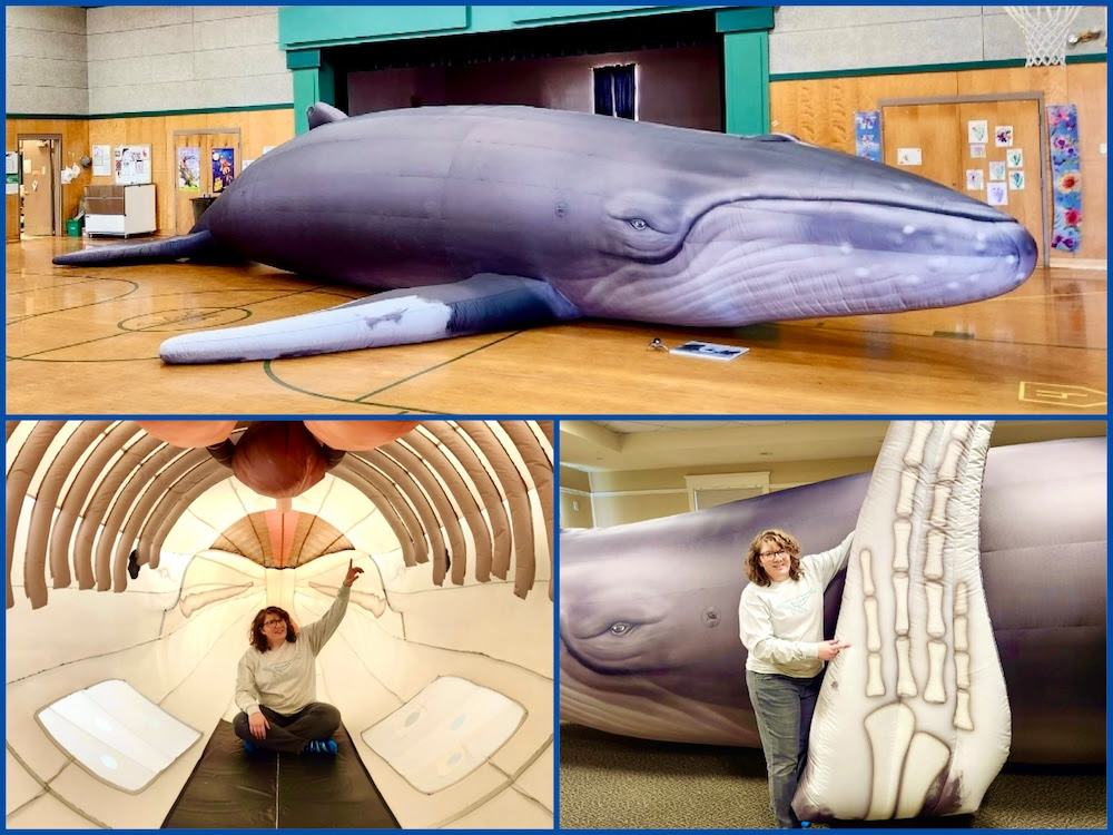 Within The Whale with MITA! SOLD OUT