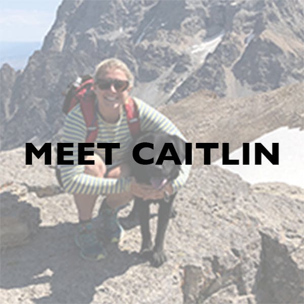 Meet Our Team