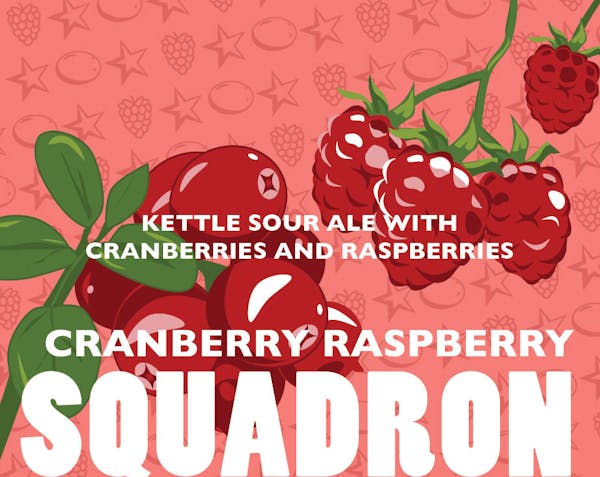 Image or graphic for Cranberry Raspberry Squadron