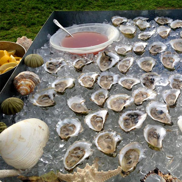 O'Oysters O'Oysters