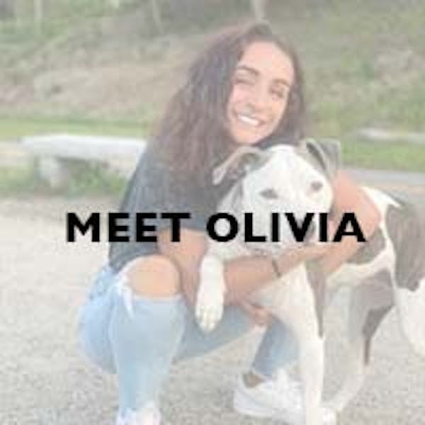Meet Our Team