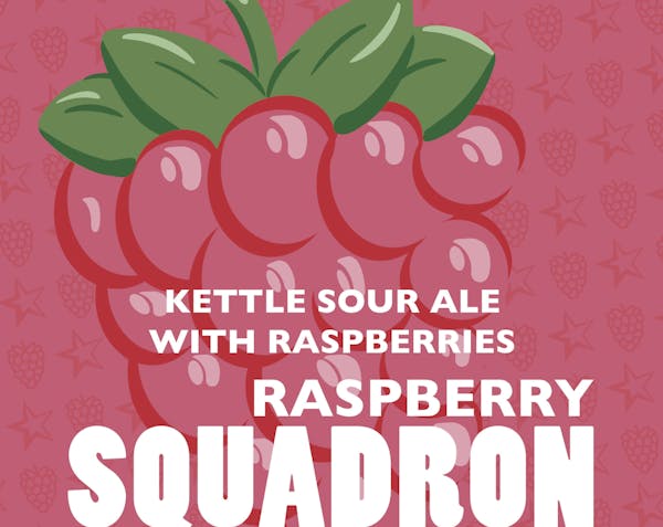 Image or graphic for Raspberry Squadron