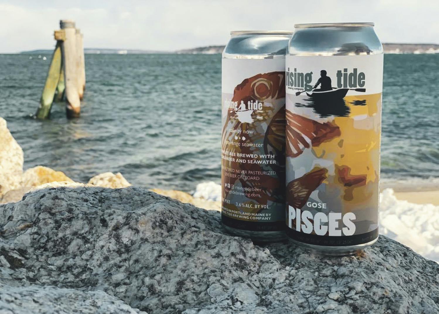 Vine Pair: From Cacti to Coconuts: A New Wave of Alt Water-Based Beer ...