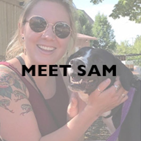 Meet Our Team