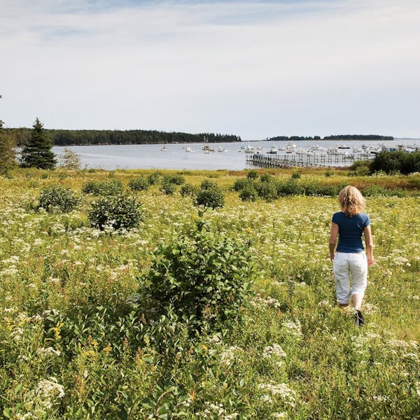 A woman walks through a field near the sea in Rockland, Maine. The fishing port along the Atlantic Ocean is known for its art museums and Victorian architecture. PHOTOGRAPH BY MAURICIO, NAT GEO IMAGE COLLECTION