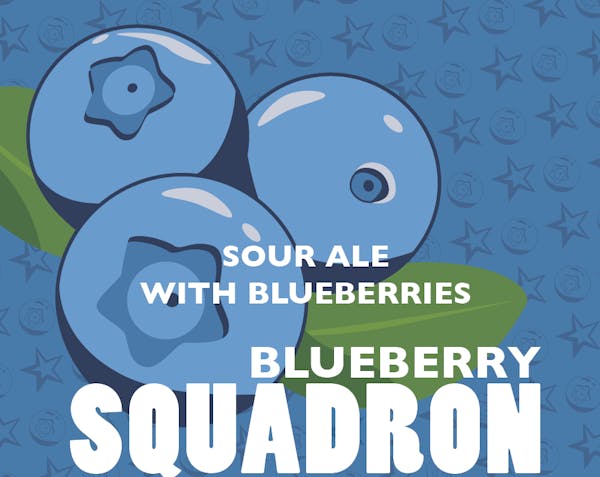 Image or graphic for Blueberry Squadron