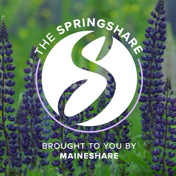 Spring Share 2018 Spring Share 2018