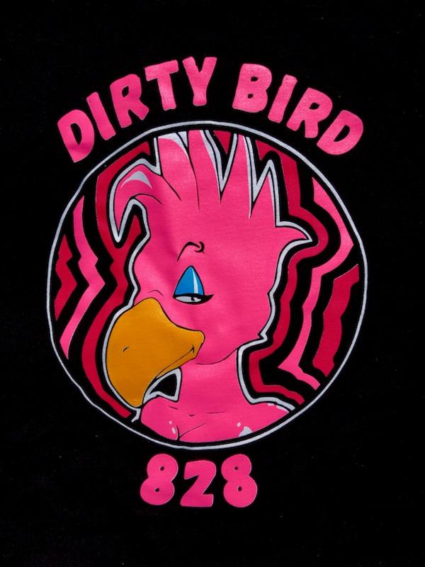 Dirty Birds logo 4