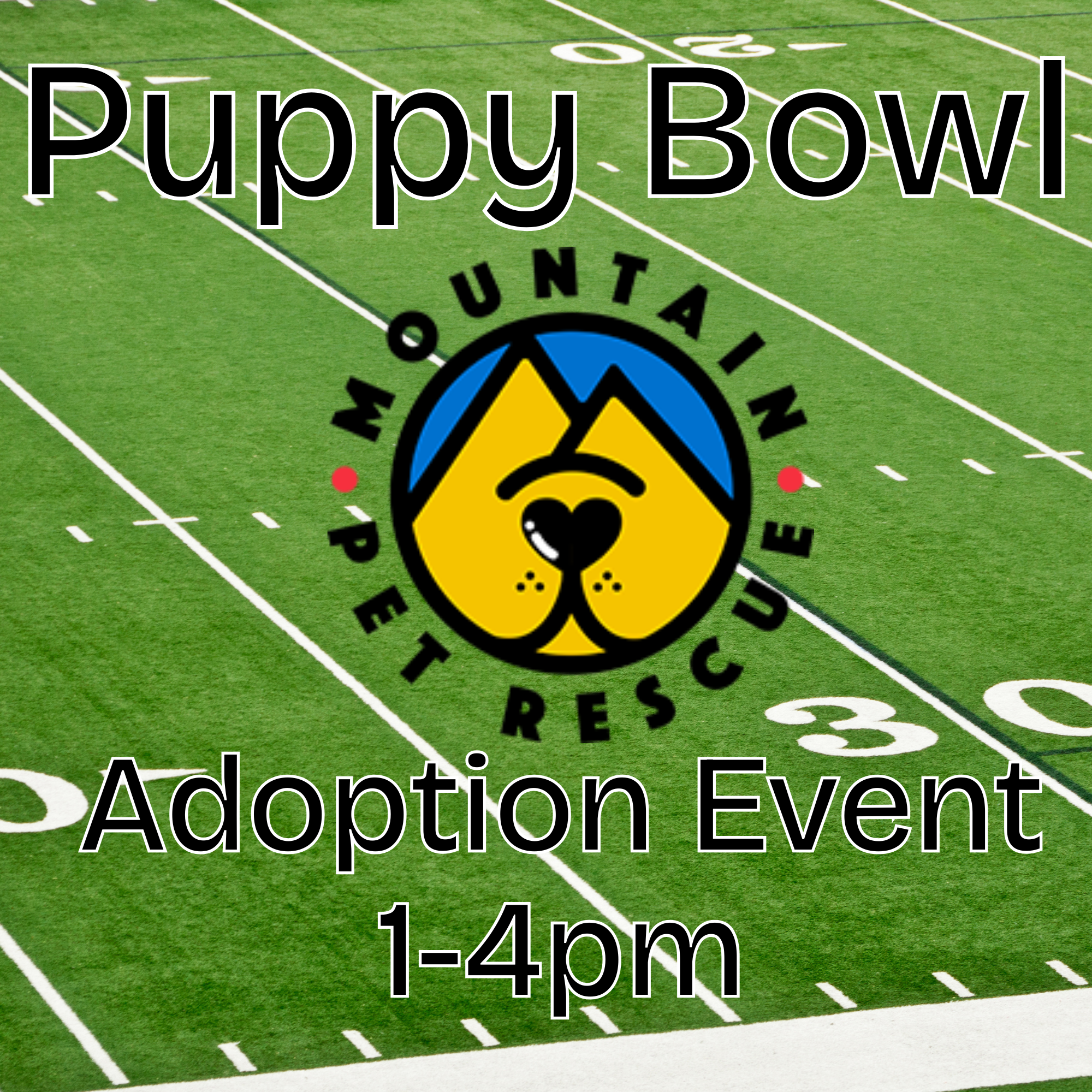 MPR Puppy Bowl Adoption