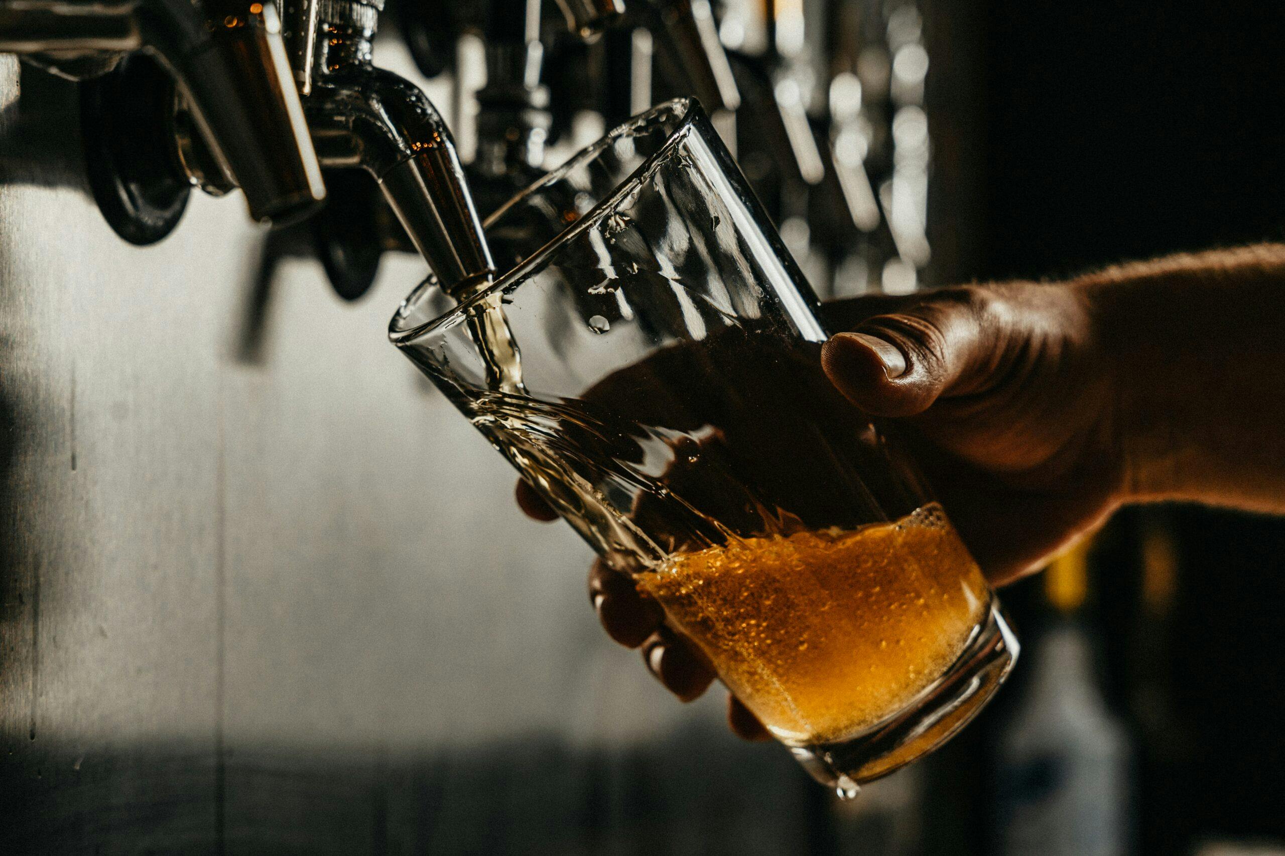 pouring a beer from the tap handles