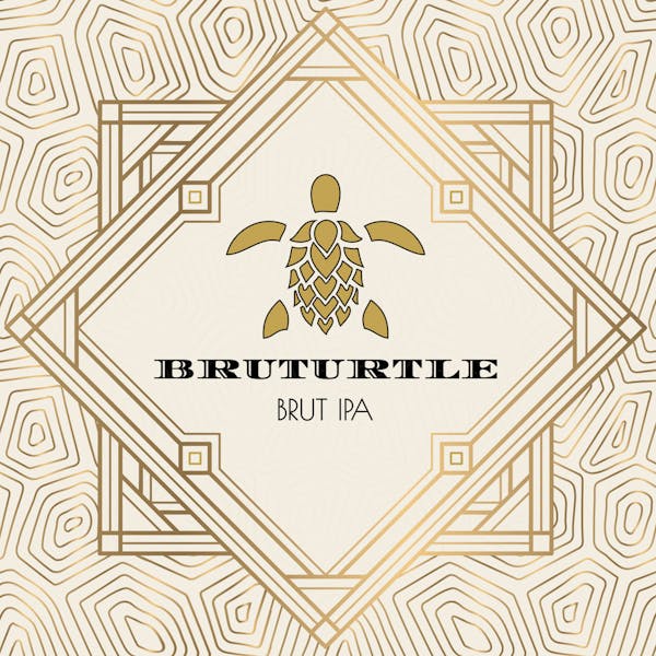 Image or graphic for BRüTurtle
