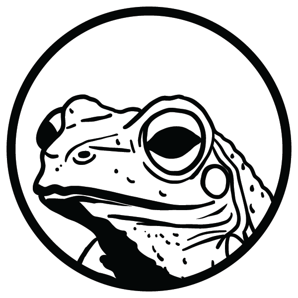 framed-frog