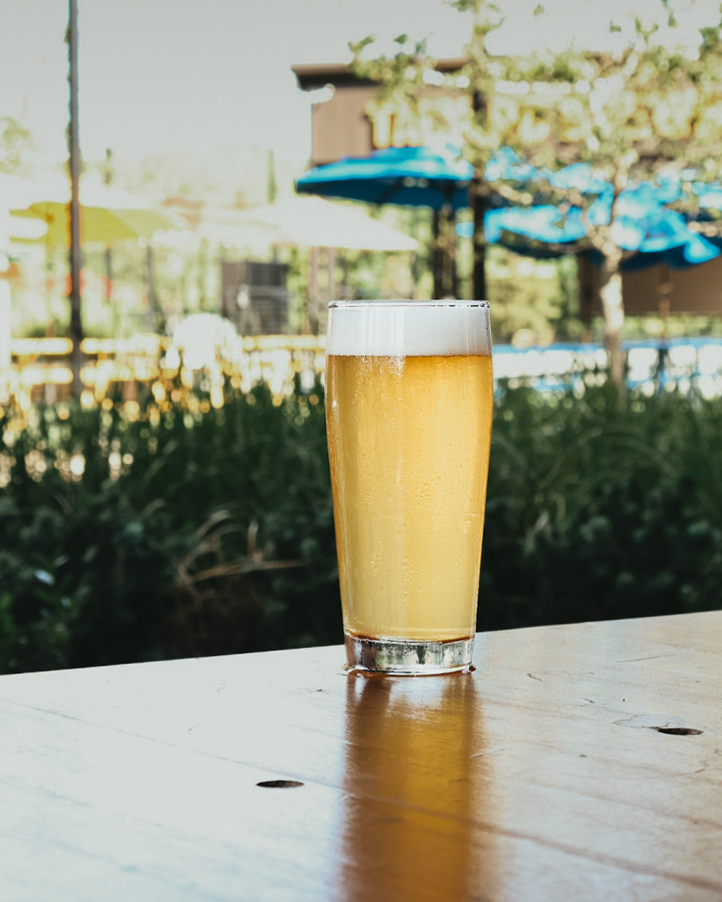 Image or graphic for Boot Scoot