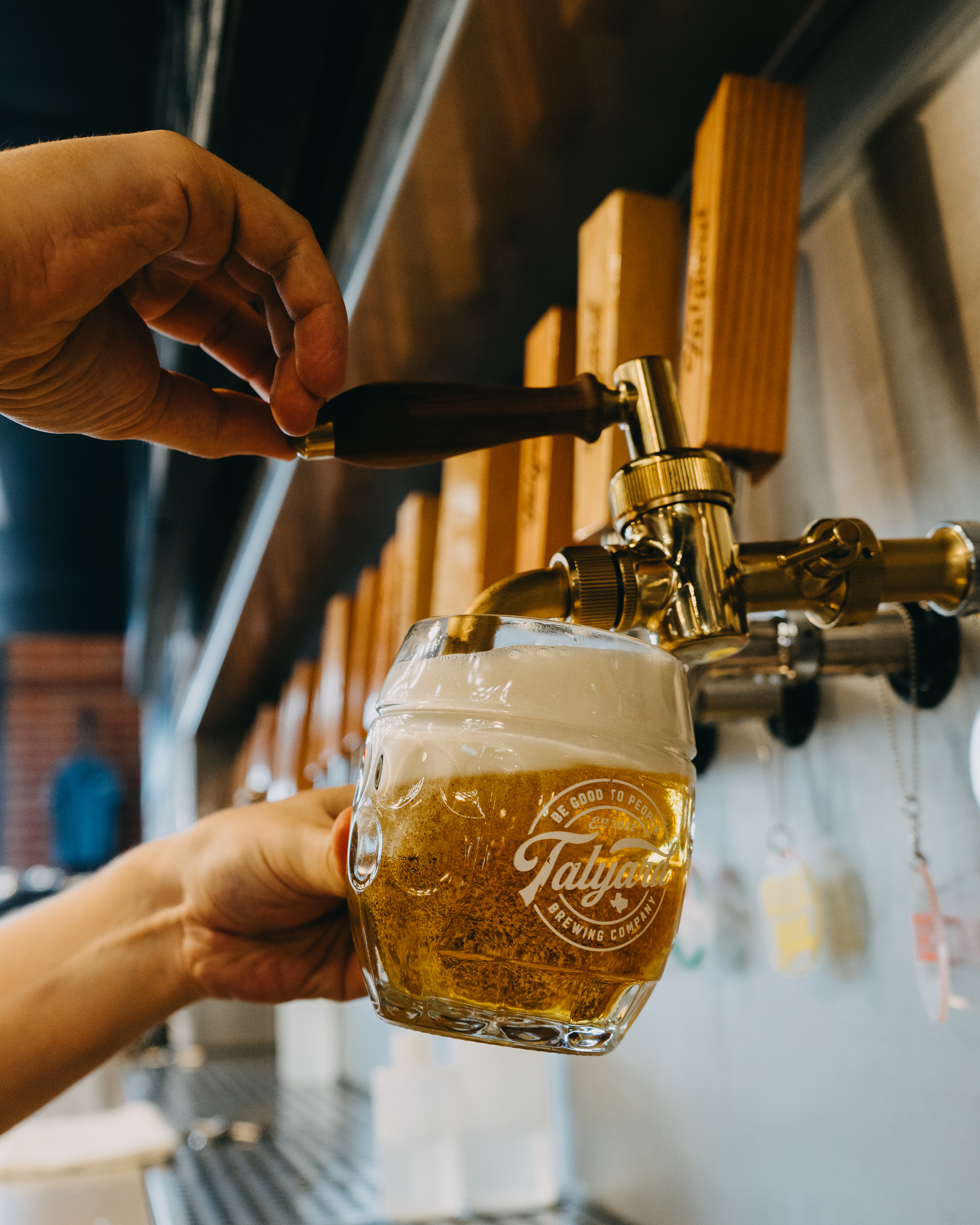 Image or graphic for Edel- Pils