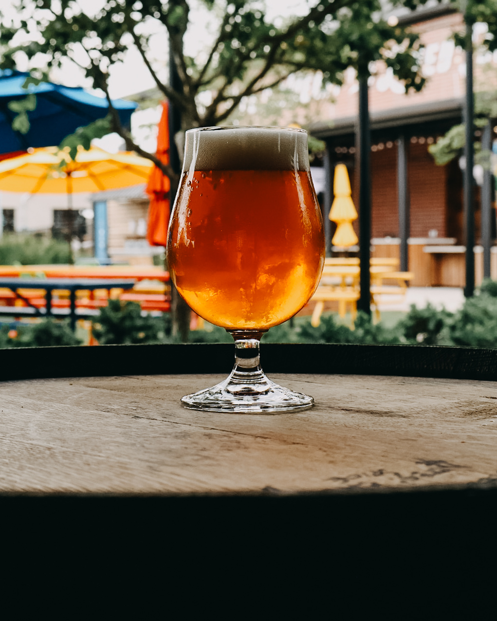 Image or graphic for Honey Trip