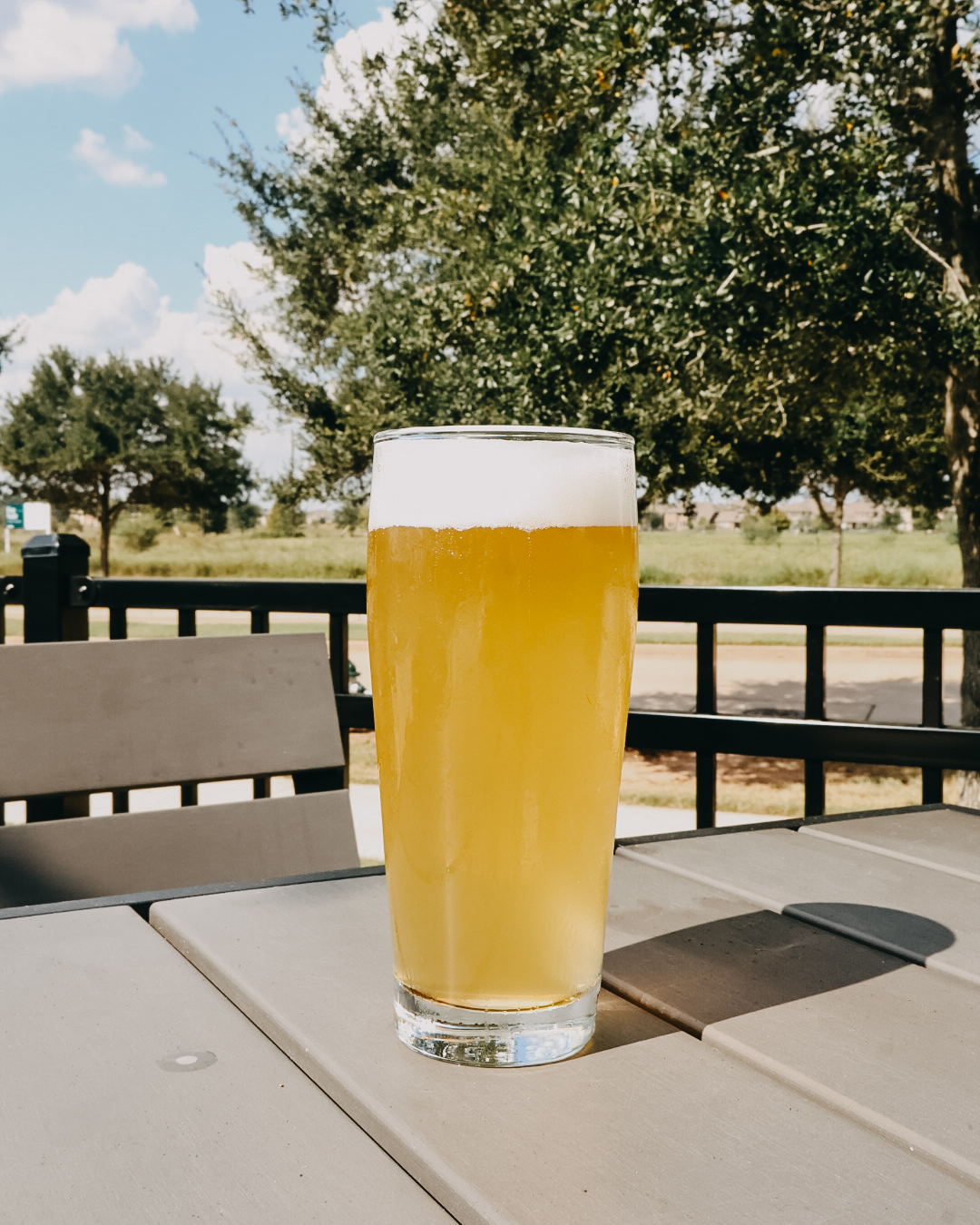 Image or graphic for Daisy