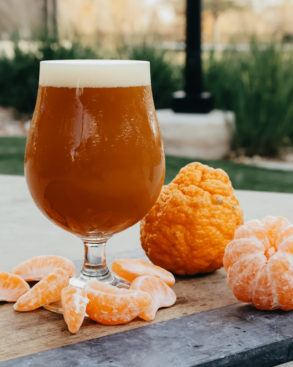 Image or graphic for Feaux Paw