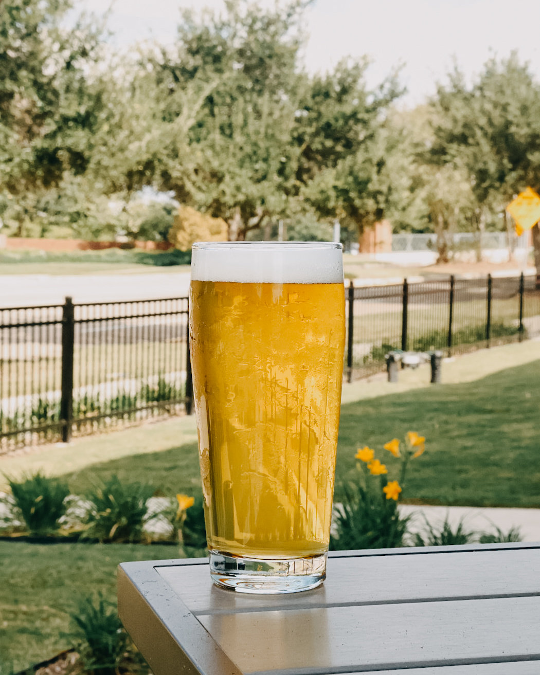 Image or graphic for Slow Boat