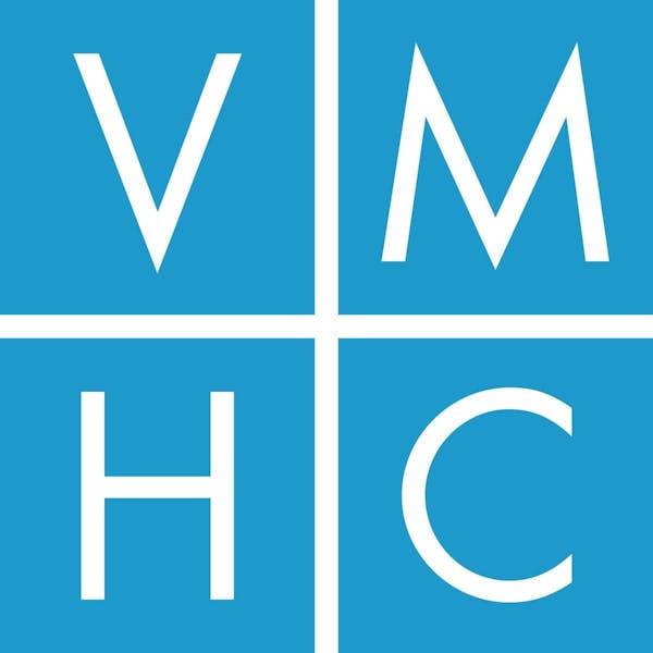 Virginia Museum of History & Culture Logo