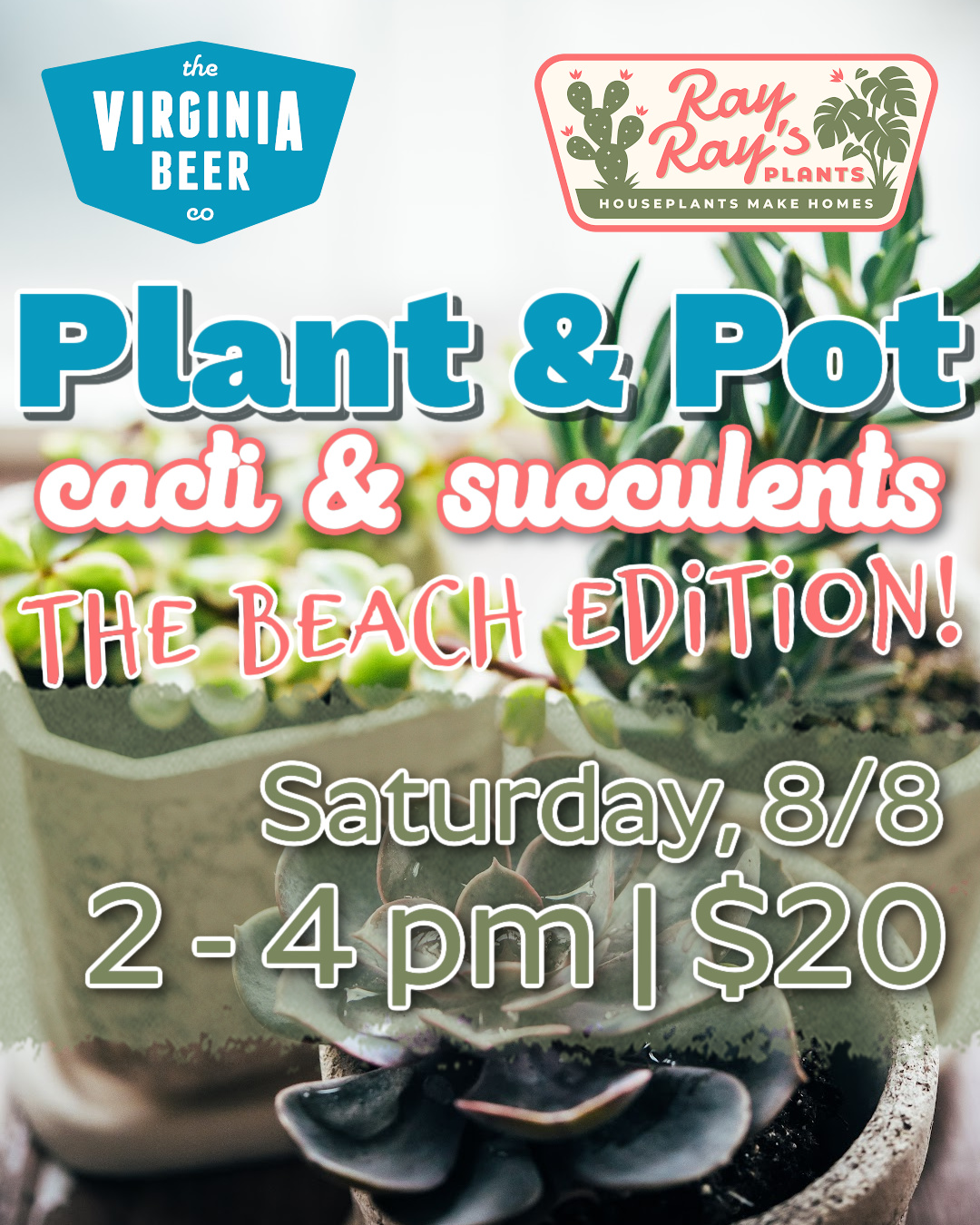 Plant & Pot