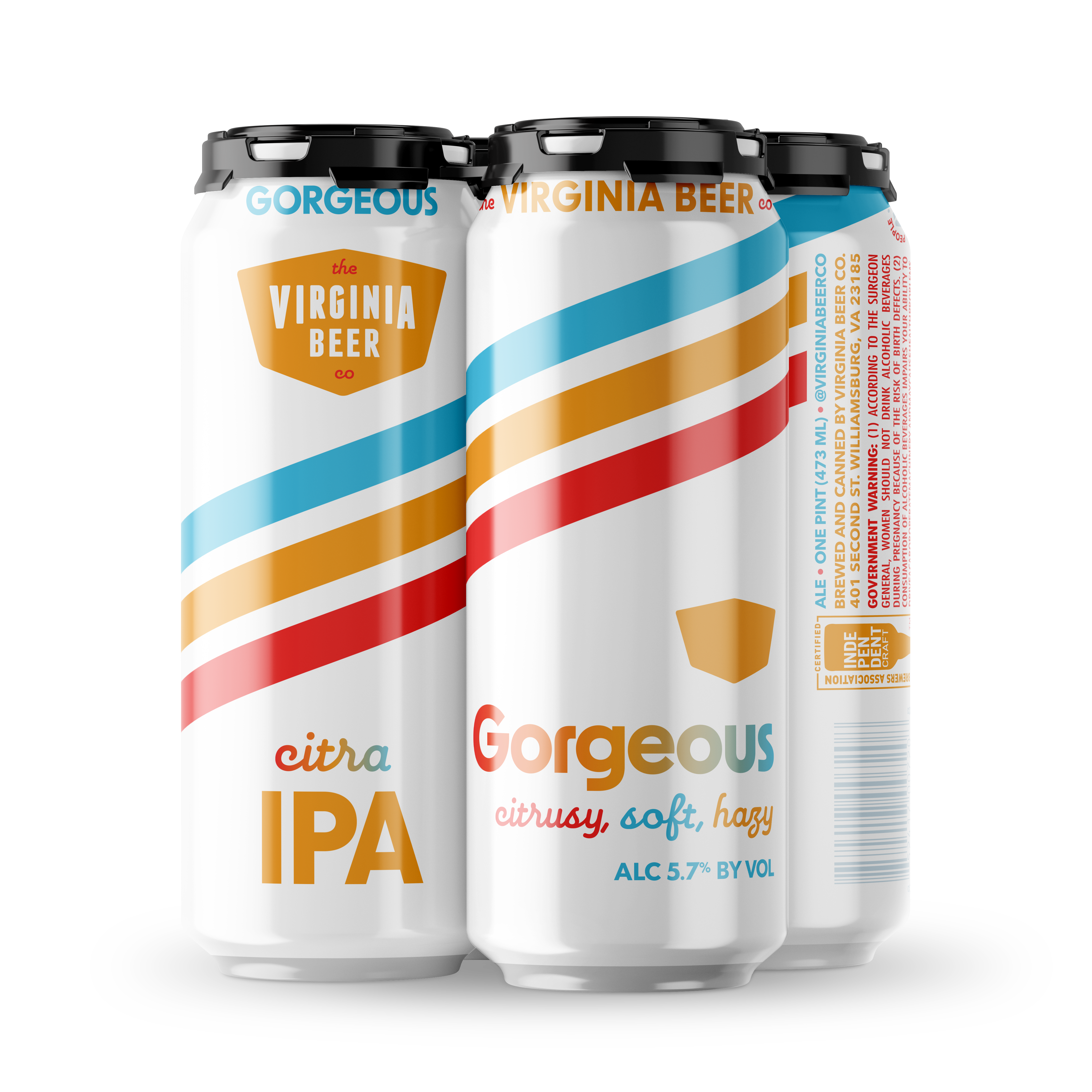 Gorgeous 2022 Can Mockup