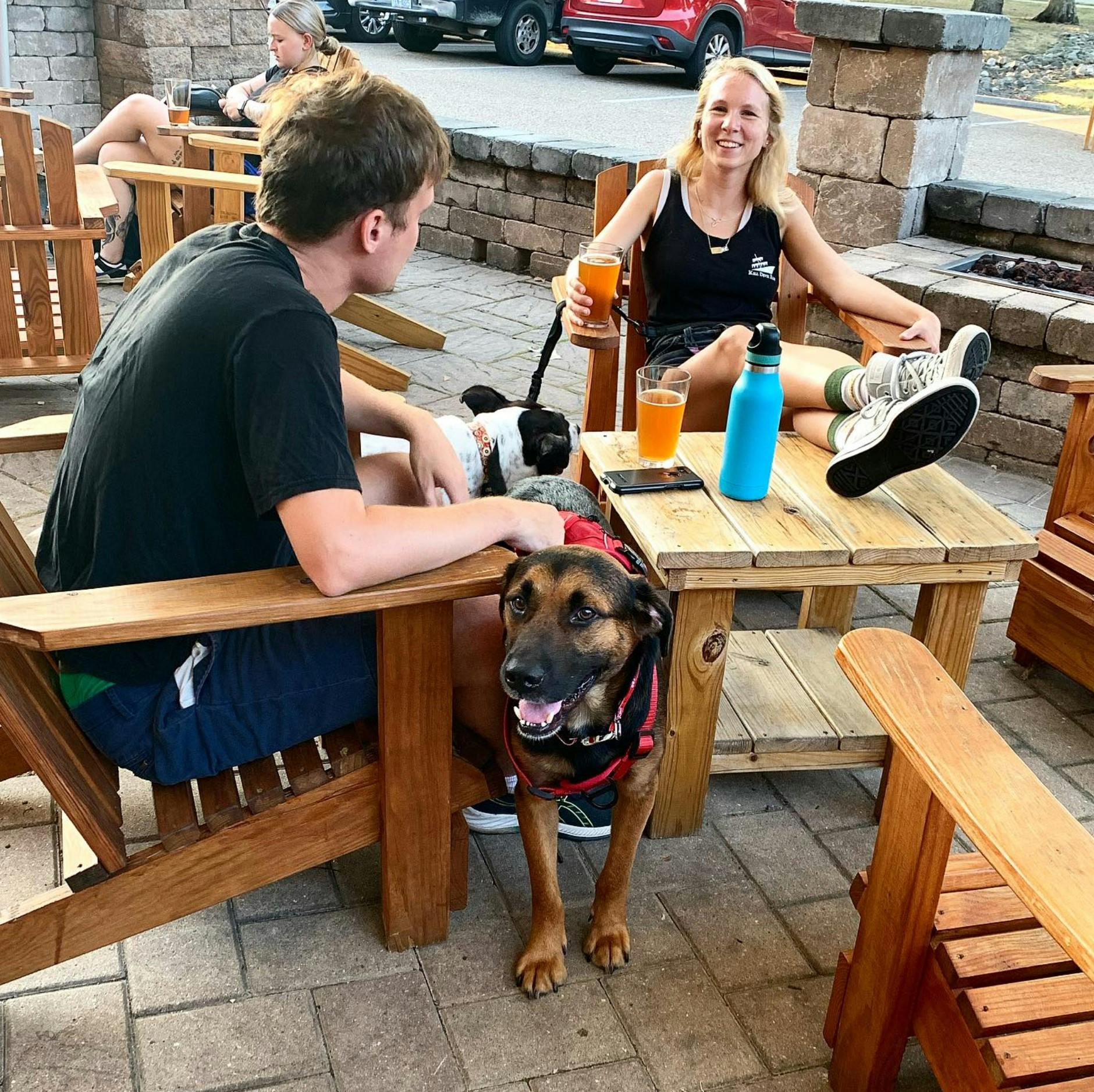 taproom-dogs Traditional brewing taproom view
