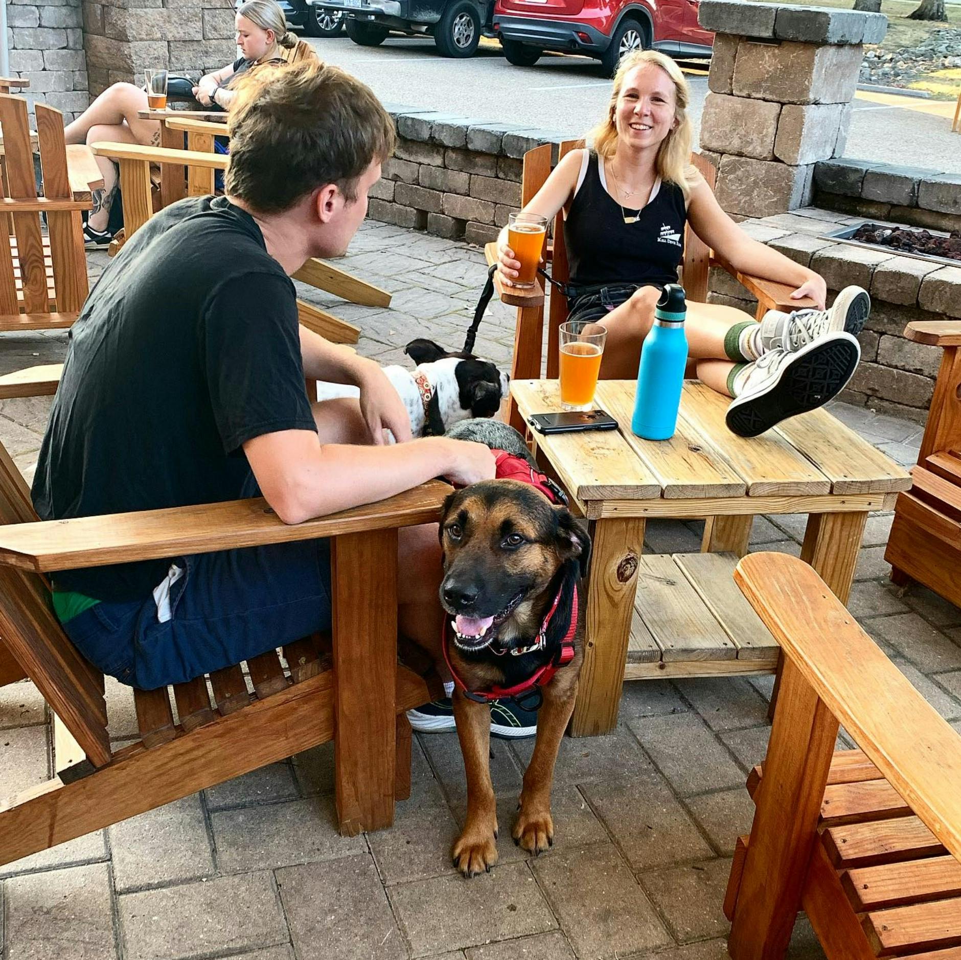 Traditional brewing taproom view 